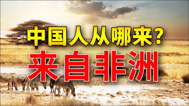 中国人的祖先是从哪里来的?专家称:纯正的非洲人