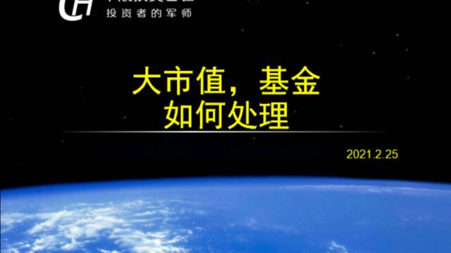 2021.2.25,大市值,基金,如何处理