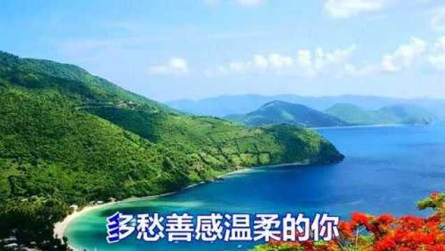 一首网络情歌《网缘》