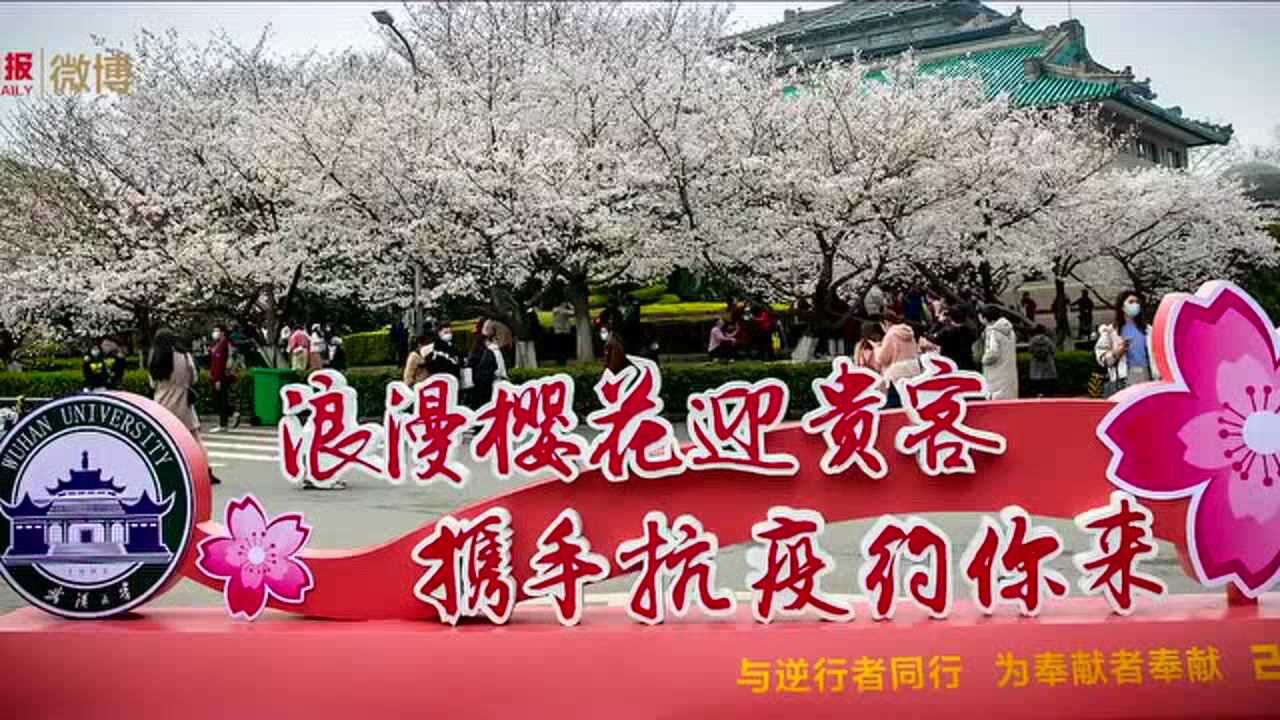 武大樱花季唱给抗疫英雄的歌