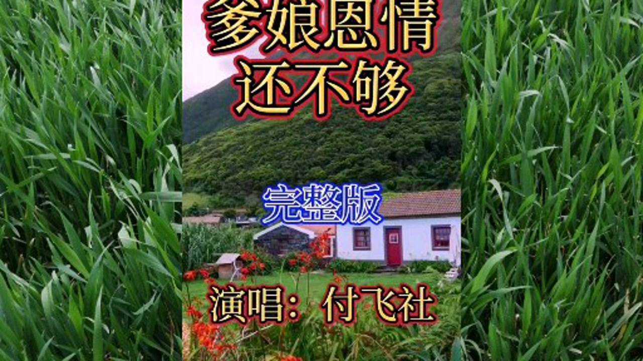 付飞社一首爹娘的恩情还不够完整版百听不厌