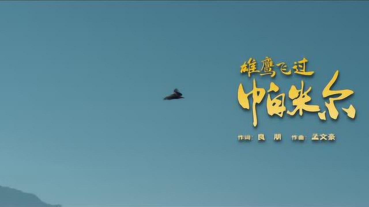 雄鹰飞过帕米尔3