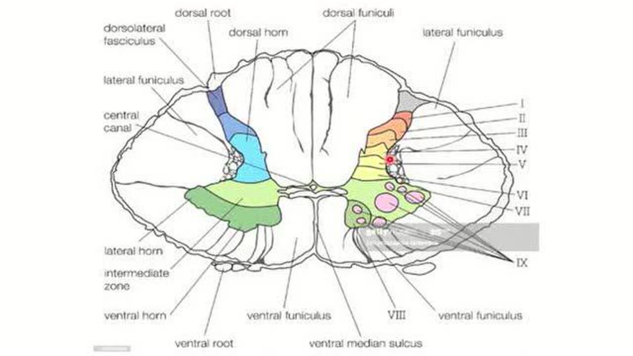 窗外有蓝天的个人频道