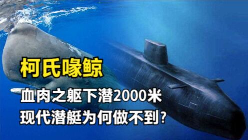 鲸鱼能轻松下潜2000米，为何潜艇的钢铁之躯却做不到？