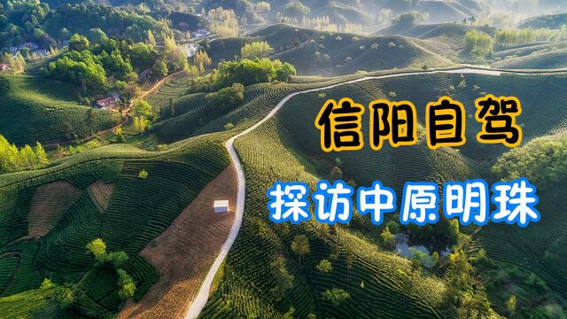 河南信阳浉河自驾路书,山水美景不输西湖,堪称中原明珠!