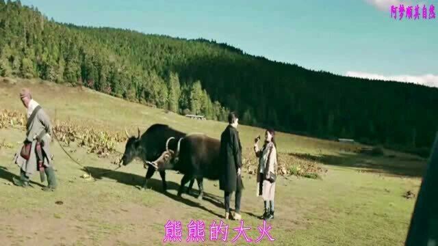 杜星萤  星陨(网剧《司藤》片尾曲ⷥ”𑤽œ人版伴奏)