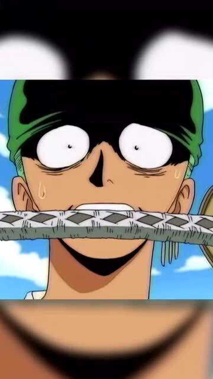 %海贼王:索隆早期鬼畜素材,见过这样的索隆吗?