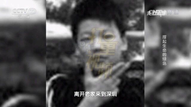 16岁男童睡个午觉导致脑死亡,死因竟是脑内肿瘤破裂?