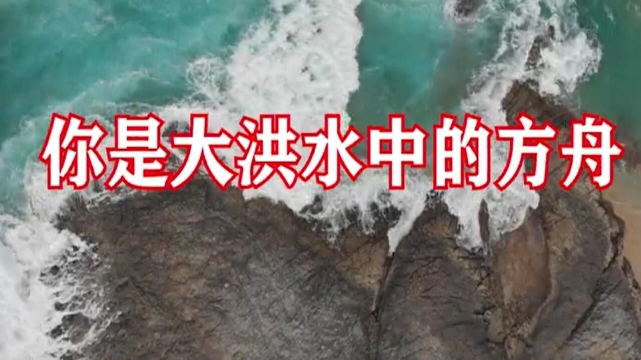 你是大洪水中的方舟-我的家园诗歌_高清1080P在线观看平台_腾讯视频