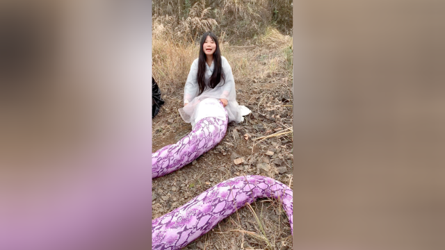 影视剧里面的蛇妖
