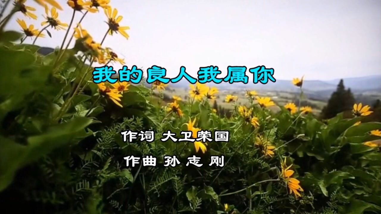 我的良人我属你_腾讯视频