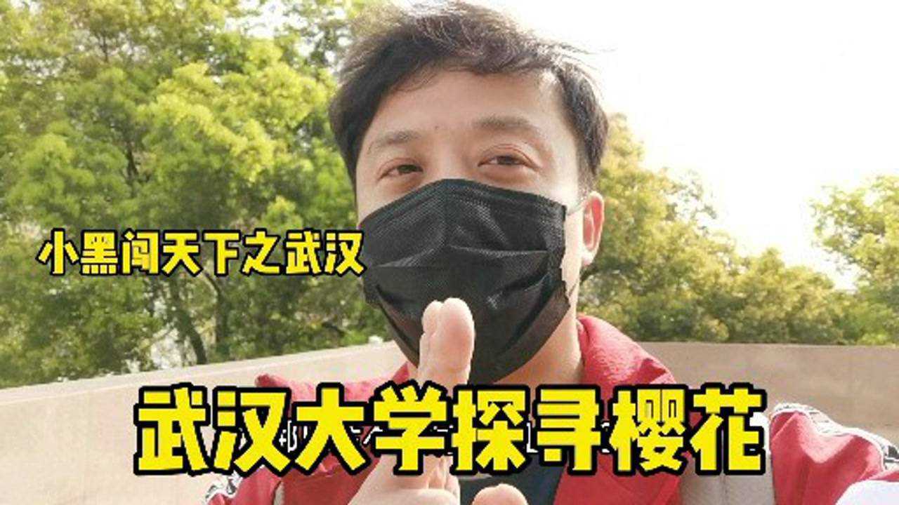 樱花与建筑成为武汉大学的一个标志性景点小黑带你来探寻一番