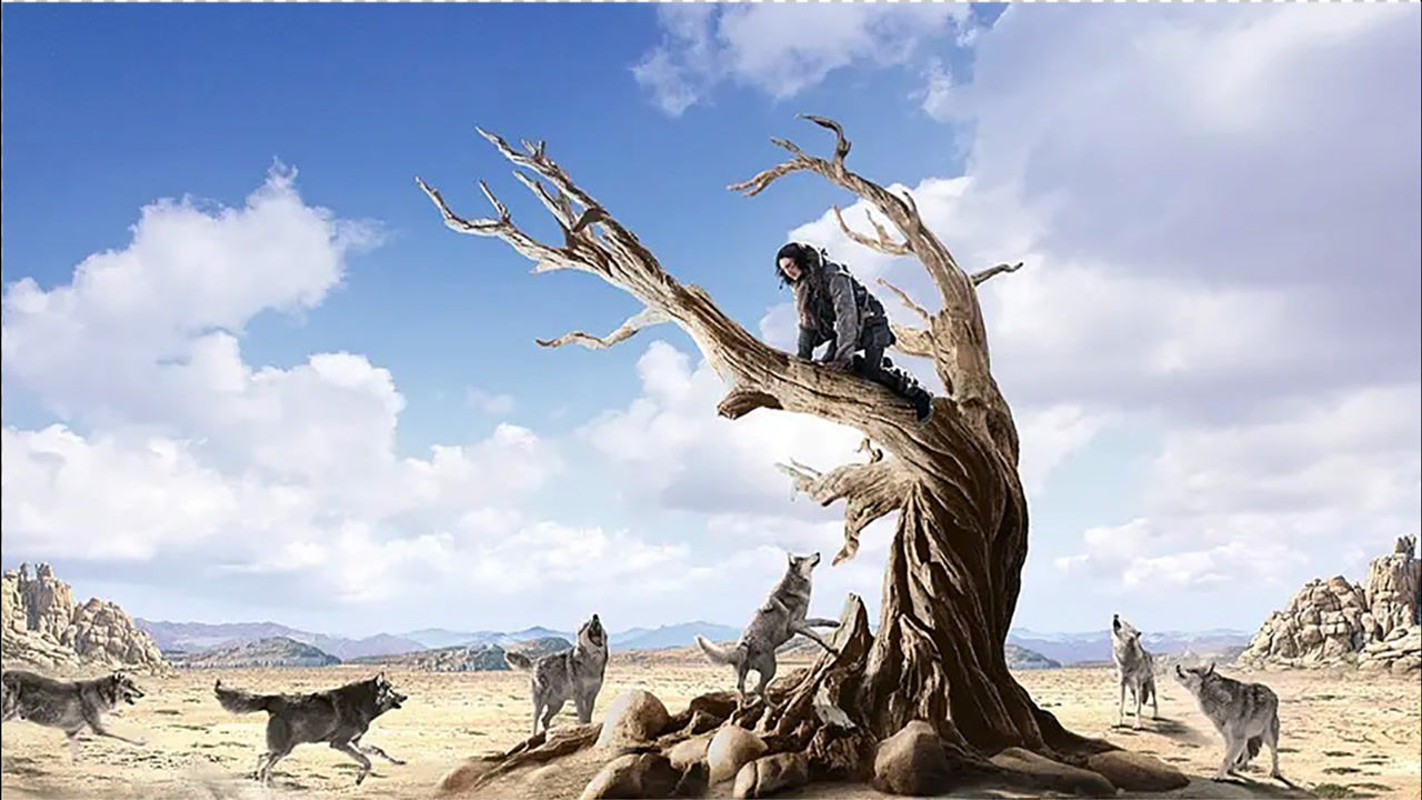 狼伴归途励志冒险片一望无际的冰川上一人一狼靠着坚强的意志终于回到