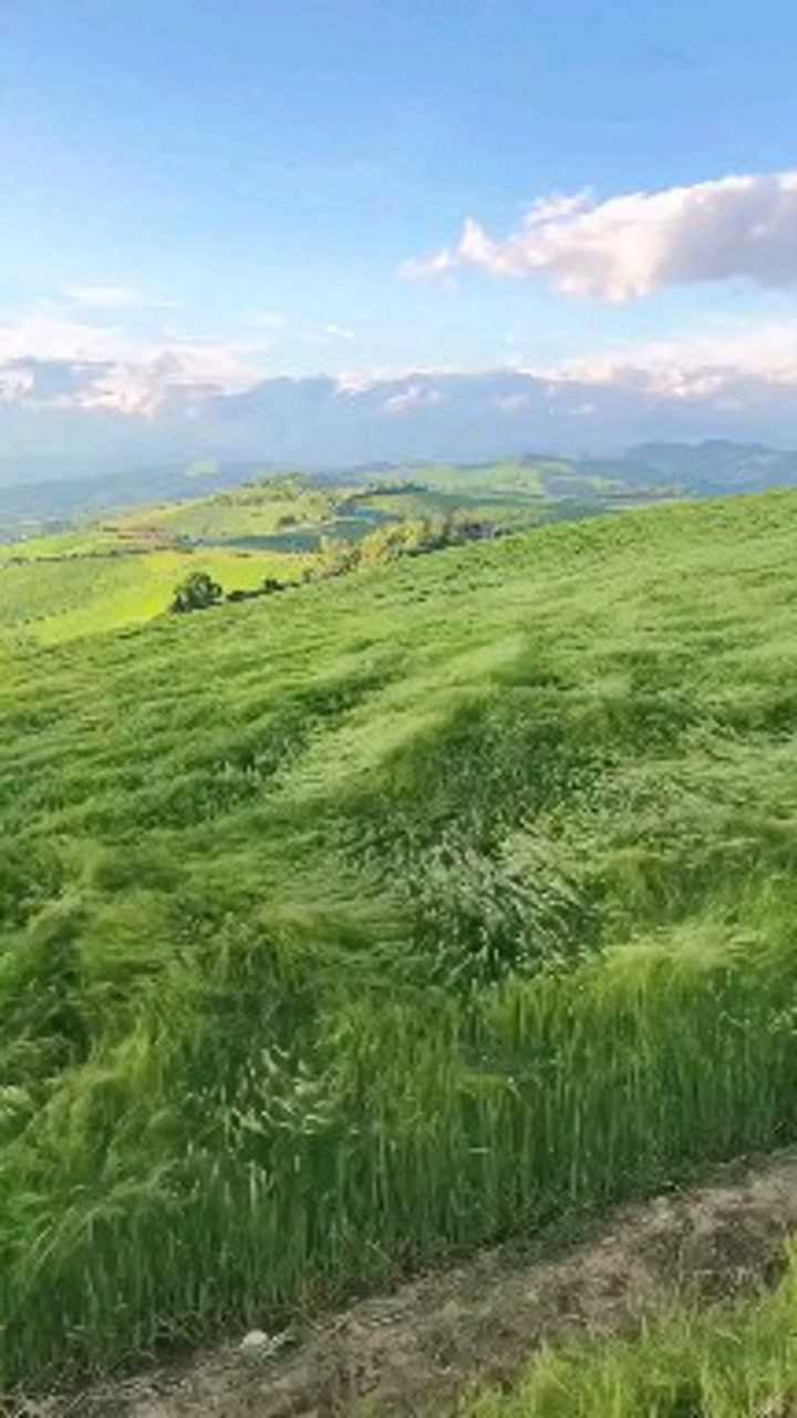 风吹草动,心旷神怡.