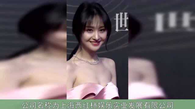 李维嘉被牵连误伤,意外得知他开了七家公司,投资小天才