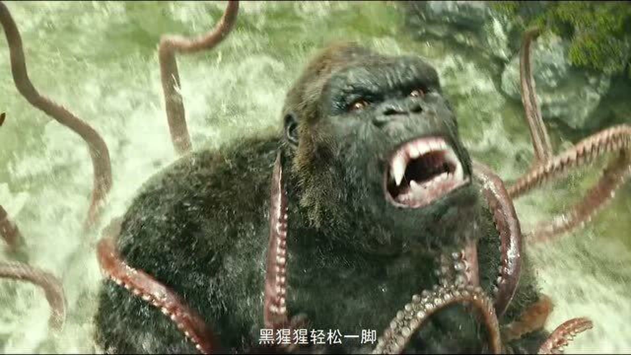 《金刚:骷髅岛》金刚vs骷髅蜥蜴怪的对决!