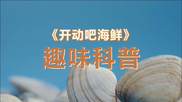 《开动吧!海鲜》趣味科普:青岛人为什么喜欢吃蛤蜊