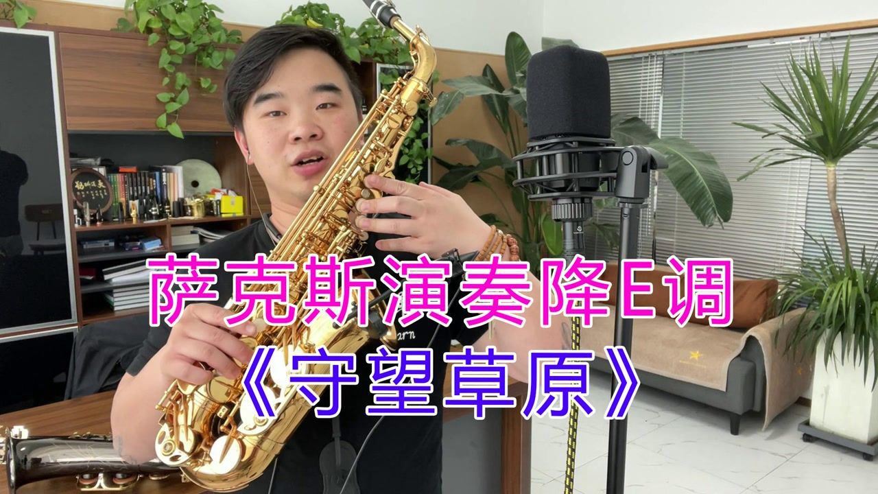 萨克斯演奏《守望草原》曲调优美,娓娓动听,令人陶醉