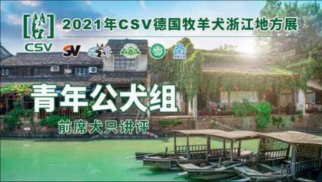 2021CSV德国牧羊犬浙江地方展青年公犬组前席犬只讲评