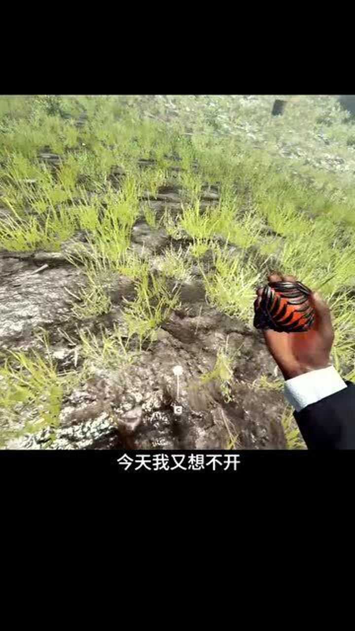 召唤全森林的野人你见过会飞的香肠怪吗看到最后哦