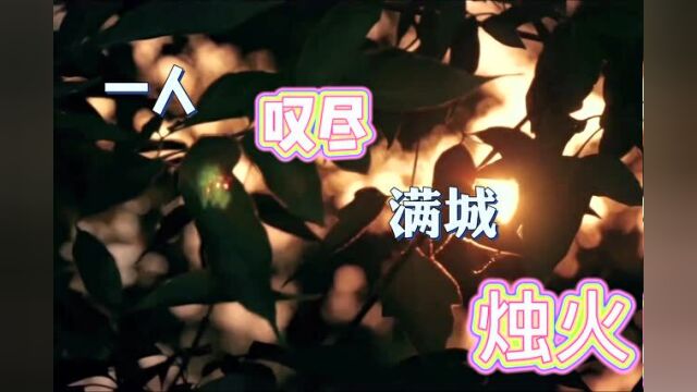 孟维来的古风歌曲《羽落》MV@五一快乐