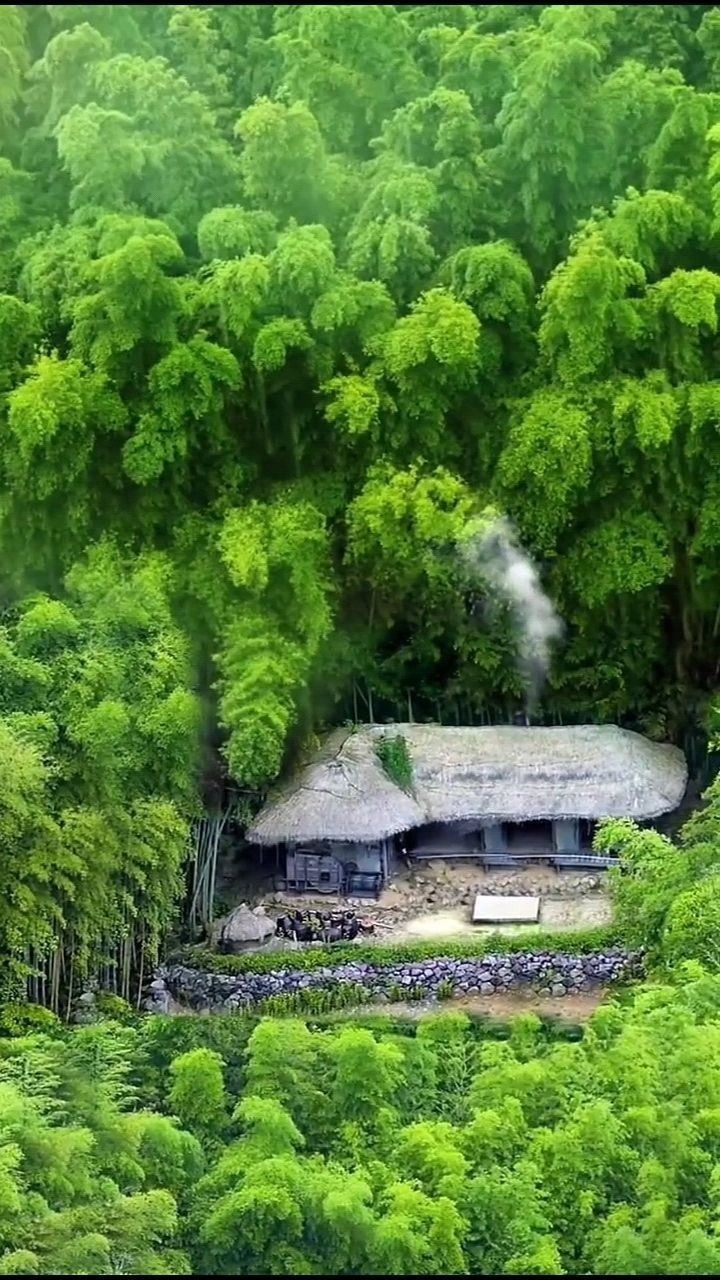 待我了无牵挂从此归隐天涯深山草屋为家