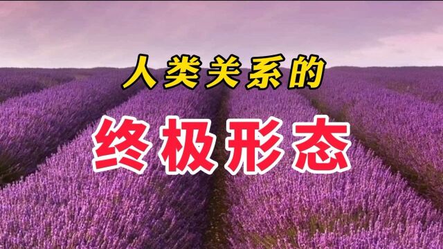 感知新人类:人类关系的终极形态