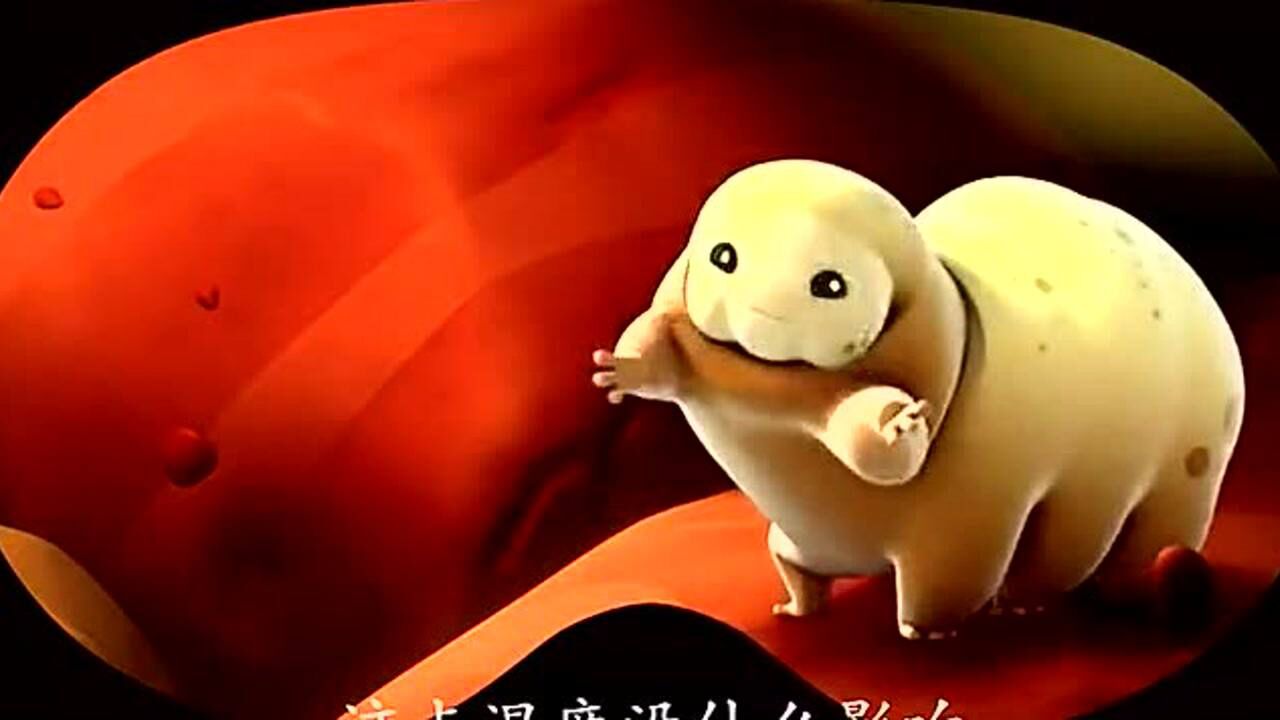 水熊虫很喜欢在温度高的地方待着