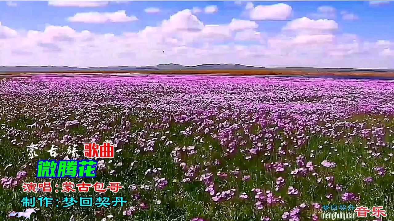 蒙古族歌曲《微腾花》演唱:蒙古包哥