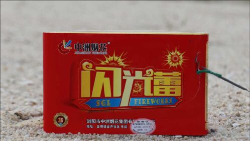 将"闪光雷"和"小强"放进铁笼中,点燃后会发生什么呢?