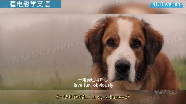 看电影学英语No.81:Have fun玩得开心,玩得高兴