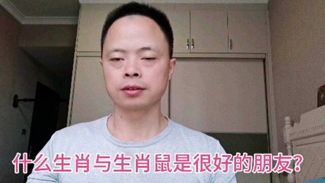 哪些生肖与生肖鼠容易成为好的朋友呢?