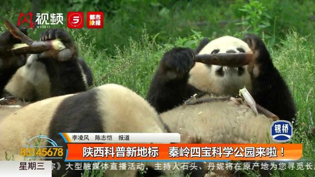 陕西科普新地标 秦岭四宝科学公园来啦!