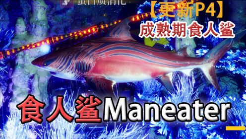 嗨氏《食人鲨Maneater》：04升10级成熟期食人鲨