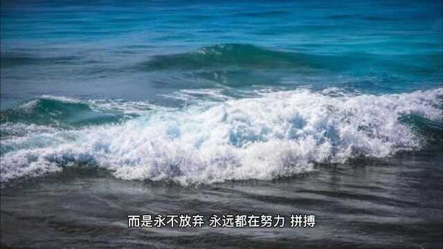 美丽的浪花,是在与礁石撞击中开放的;人生的价值,是在生命追求中显现的.