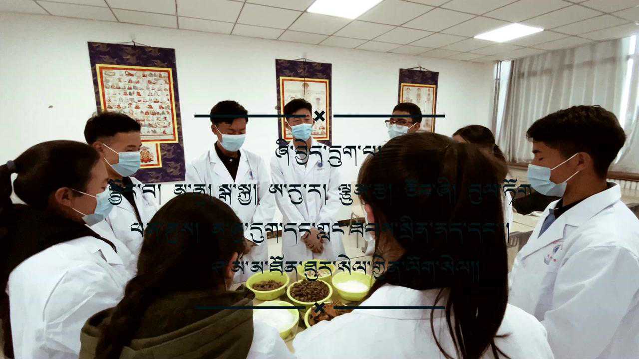 青海大学藏医学院20级藏医5班