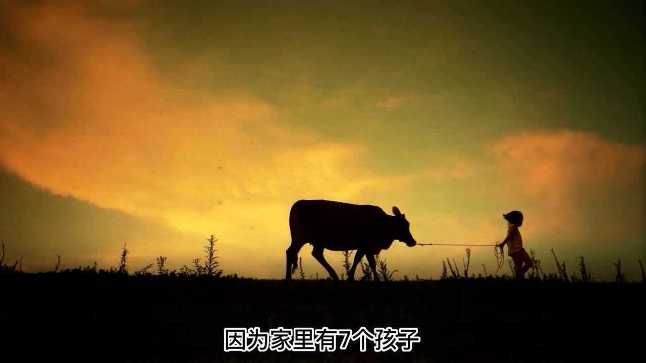 国产微电影逆境残疾女孩被父亲丢进山洞长大后衣锦还乡