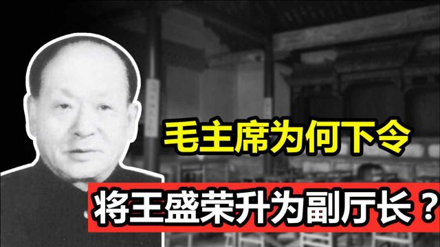 1957年主席视察武汉,下令把王盛荣从副处长提拔为副厅长,为何?