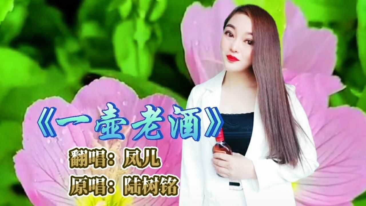 一首親情歌曲一壺老酒濃濃的思鄉情觸動多少遊子的心