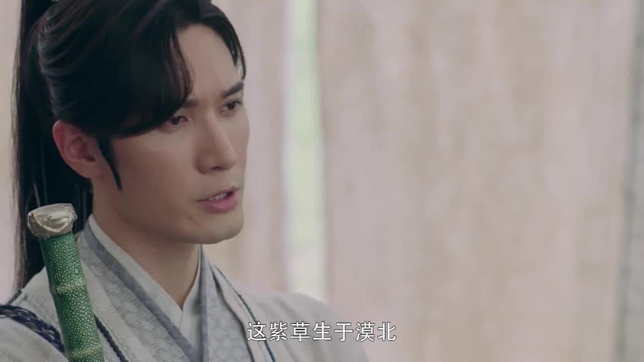 长歌行为了救鹰师众人亚罗决定去牙帐求药