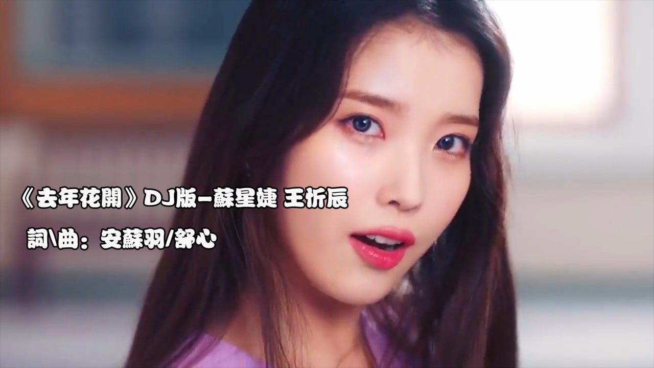 你的歌单_《去年花开》DJ完整版-苏星婕王忻辰_高清1080P在线观看平台_腾讯视频