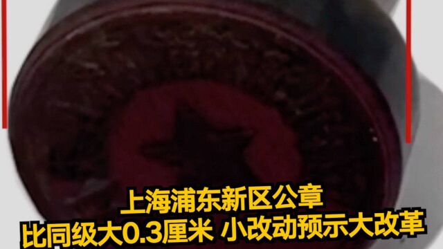 上海浦东新区公章:比同级大0.3厘米,小改动预示大改革#百年百物见精神