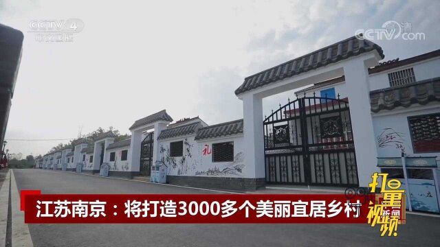 江苏南京:将打造3000多个美丽宜居乡村