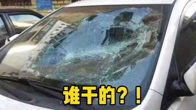 车主前挡风玻璃被砸,调取监控查出“真凶”,网友:不可思议