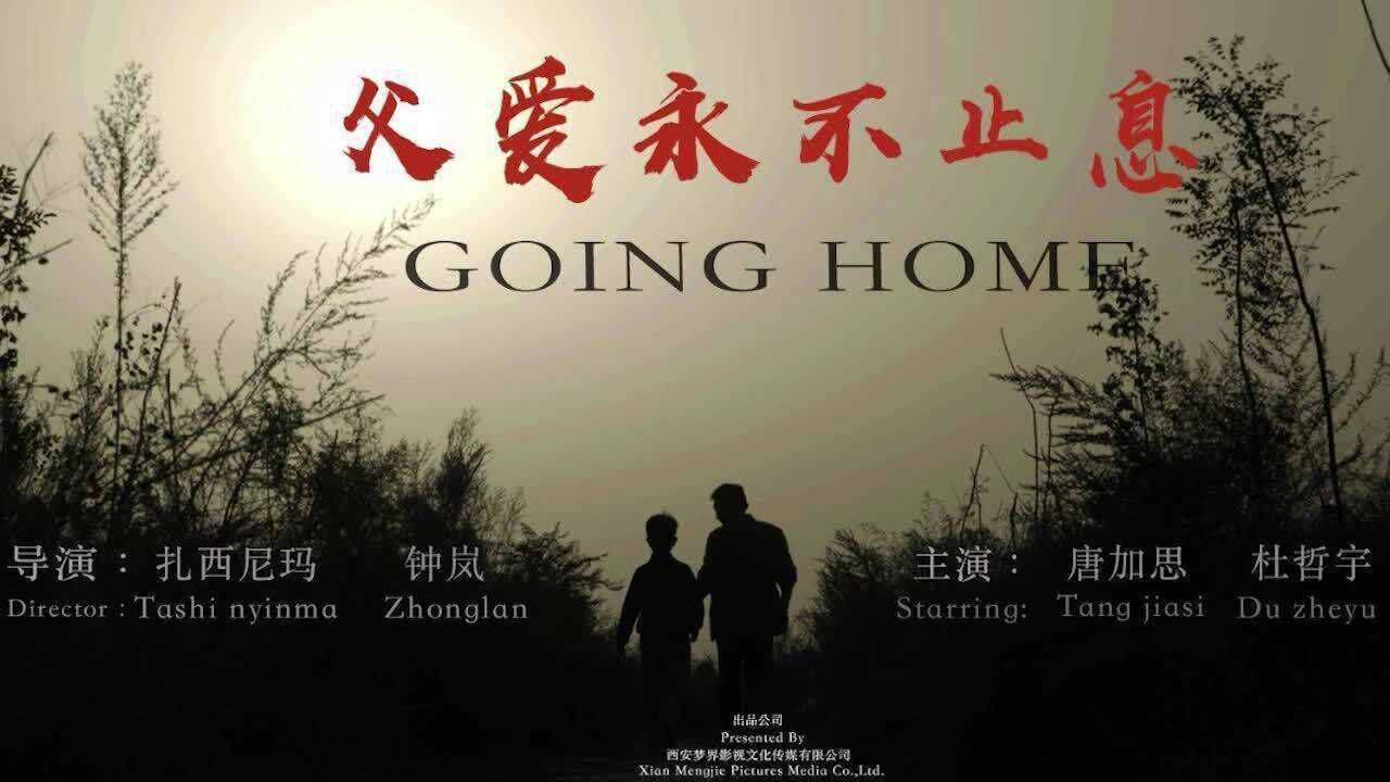 父爱永不止息:父爱如山,瞬间引爆你的泪点,献给最伟大的父亲