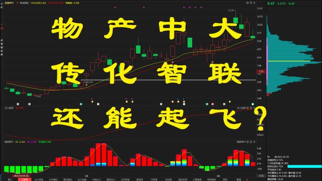 风口现?物产中大,传化智联还能起飞?