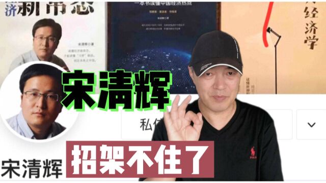 抹黑华为的宋清辉,被北青网3篇采访破功,扭捏承认自封经济学家