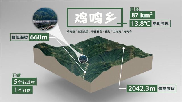 绝壁修建产业路,大山深处谋脱贫——城口县鸡鸣乡致富之路