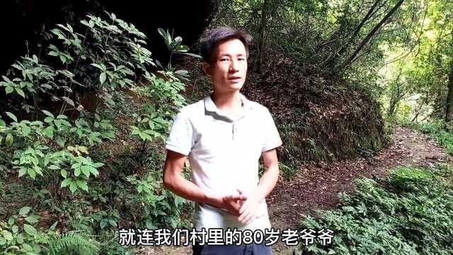 大家常说比黄金还贵的兰科植物,就连80岁的老爷爷都不认识,你们见过吗?