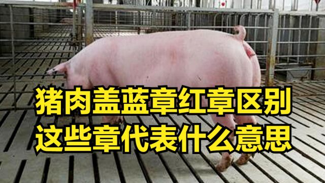 猪肉盖蓝章红章有什么区别?这些章代表什么意思?看完涨知识了